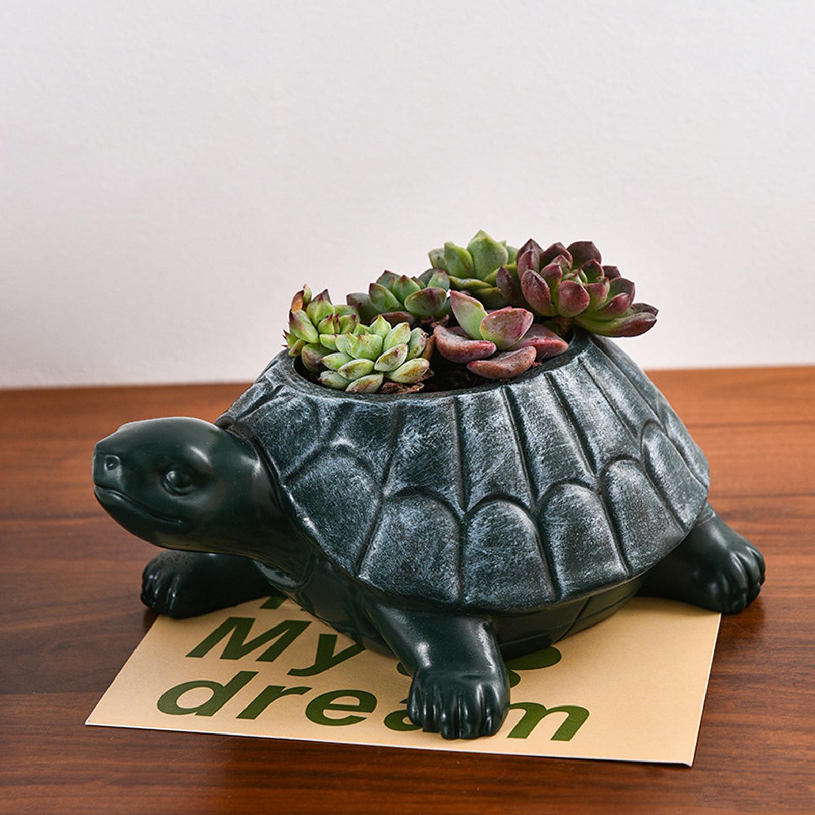 Bonsai Garden And Cafe - Turtle Planter Flower Pot Collectible Decorative