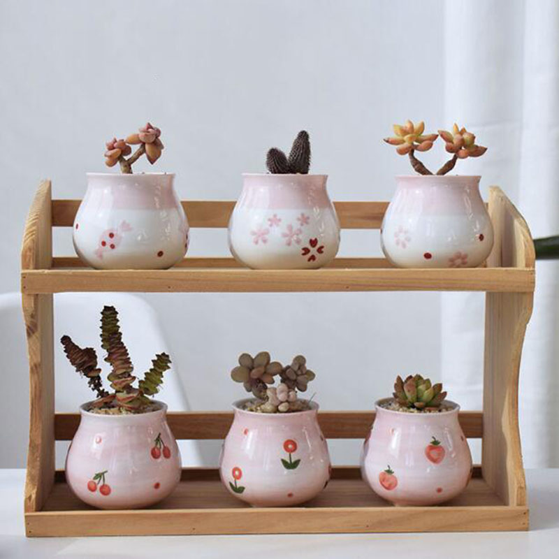 Bonsai Garden Europe - Cute Pink Girl Heart Series Fleshy