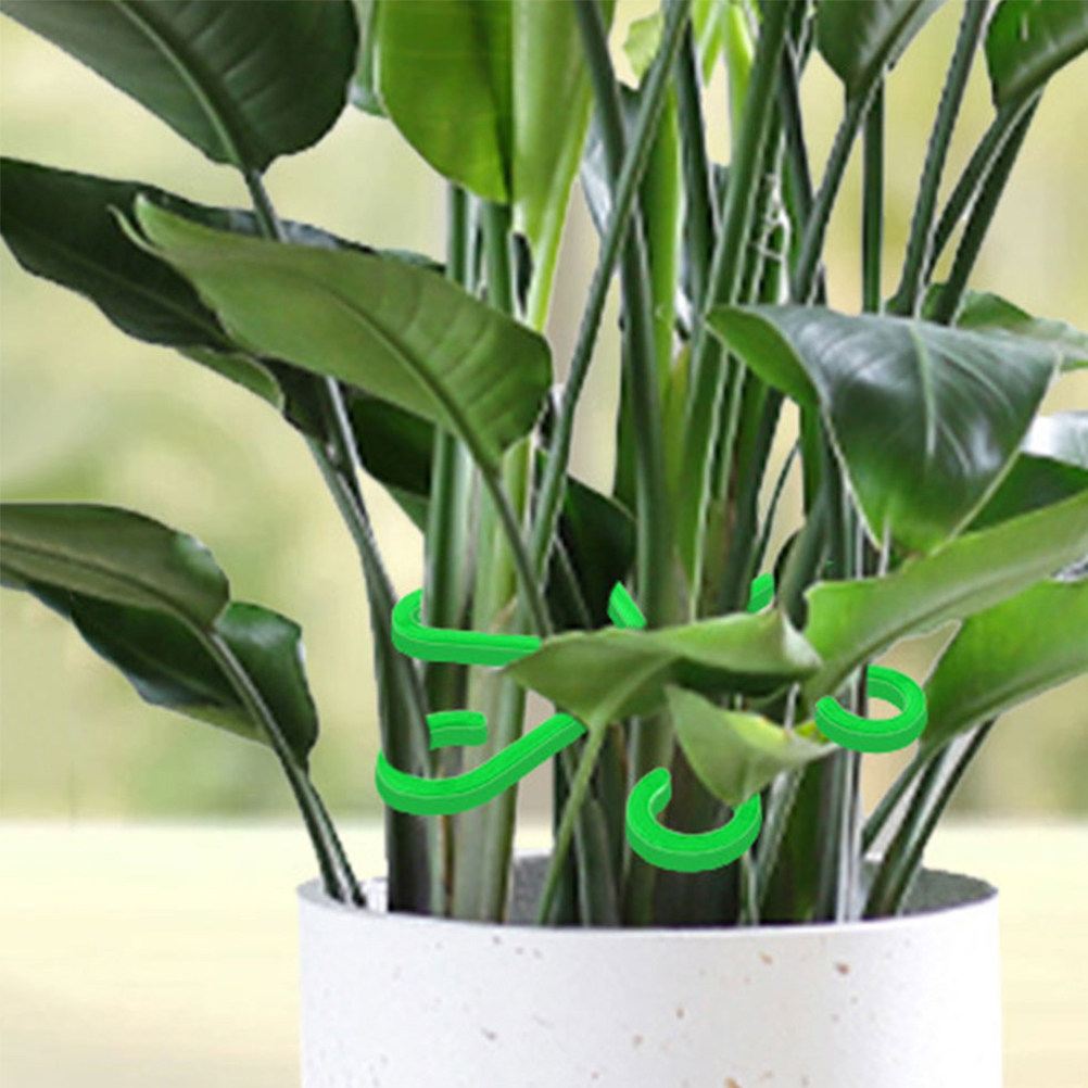 Bonsai Garden Plants - 12Pcs Plant Stem Holders Plastic Support