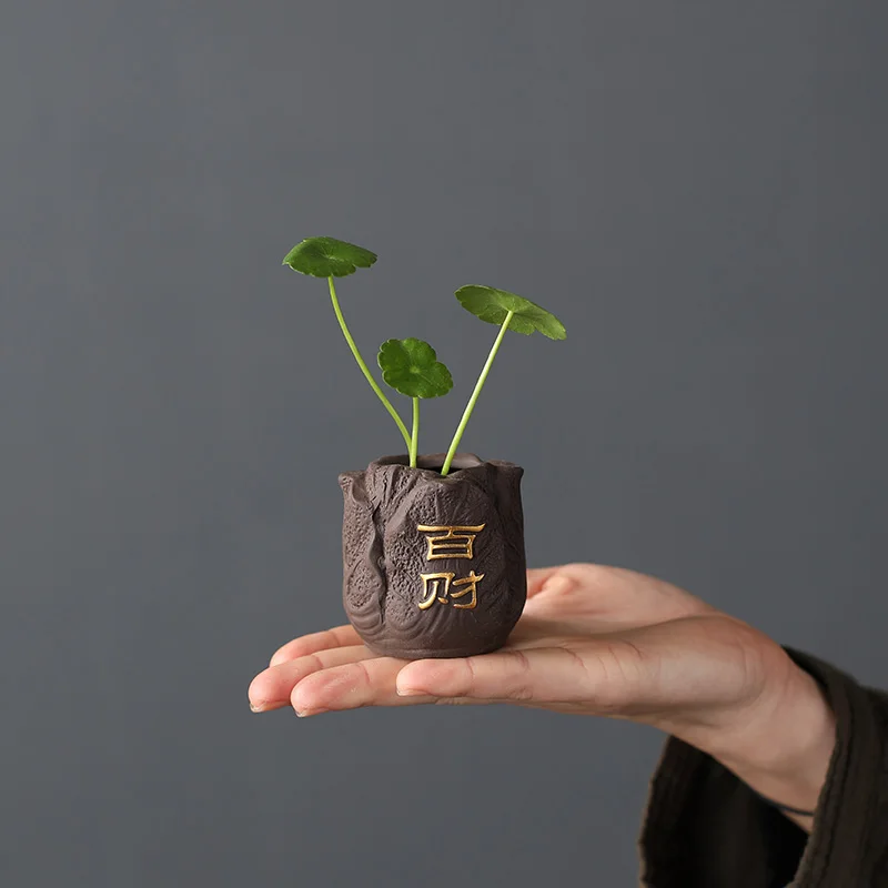 Creative Purple Clay Tea Pet F - Bonsai Garden Pot 评论和价格