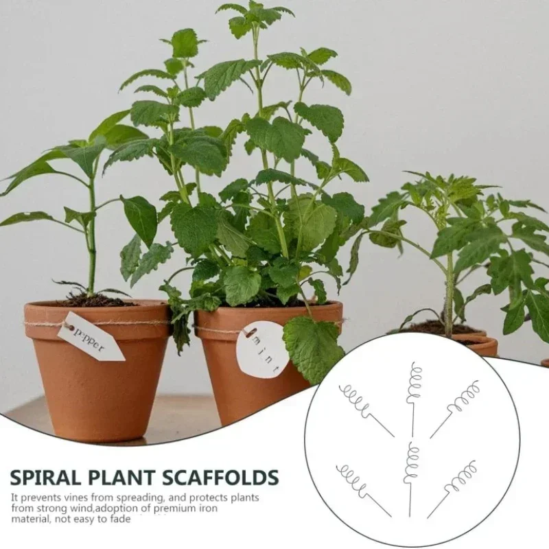 Climbing Plant Support Stake S - Bonsai Garden Plants 评论和价格