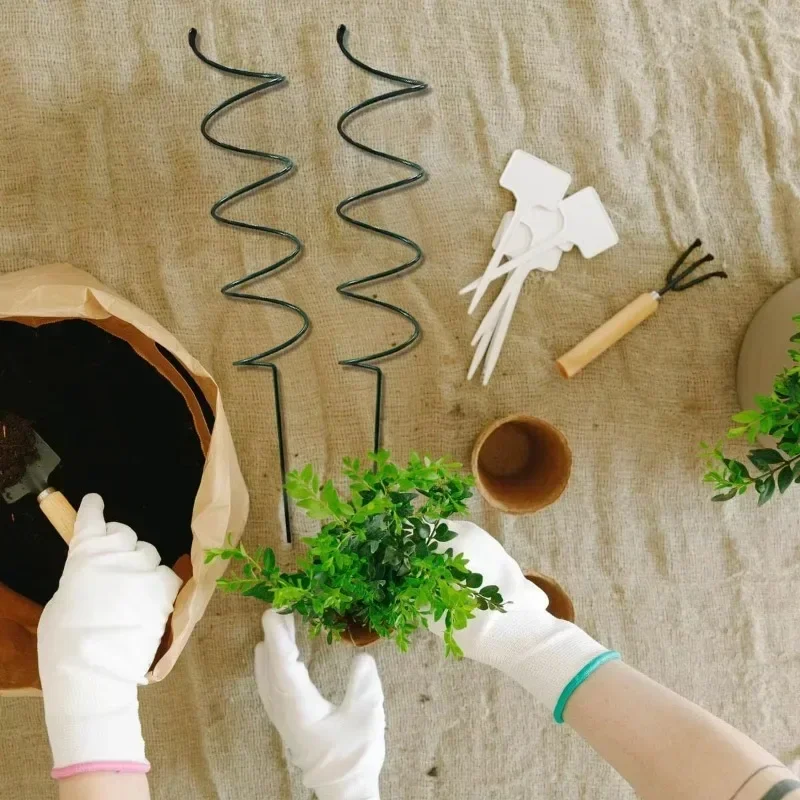 Climbing Plant Support Stake S - Bonsai Garden Plants 评论和价格