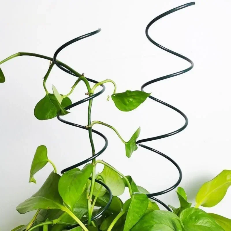 Climbing Plant Support Stake S - Bonsai Garden Plants 评论和价格