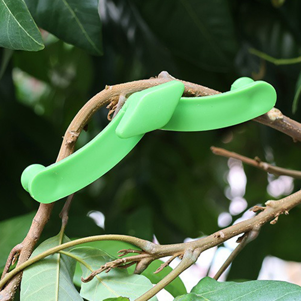 5Pcs Bonsai Branch Stabilizer  - Bonsai Garden Plants 评论和价格