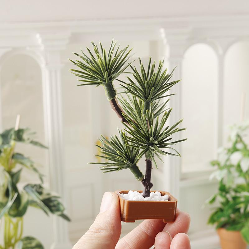 1Pcs Micro Landscape Garden Bo - Bonsai Garden Plants 评论和价格