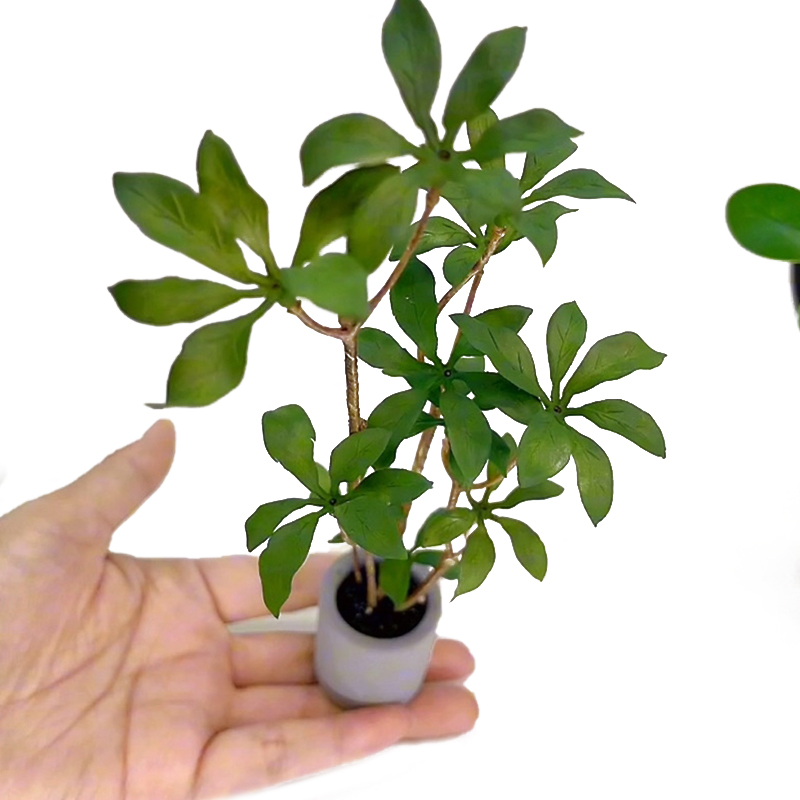 1:6 Dollhouse Miniature Potted - Bonsai Garden Europe 评论和价格