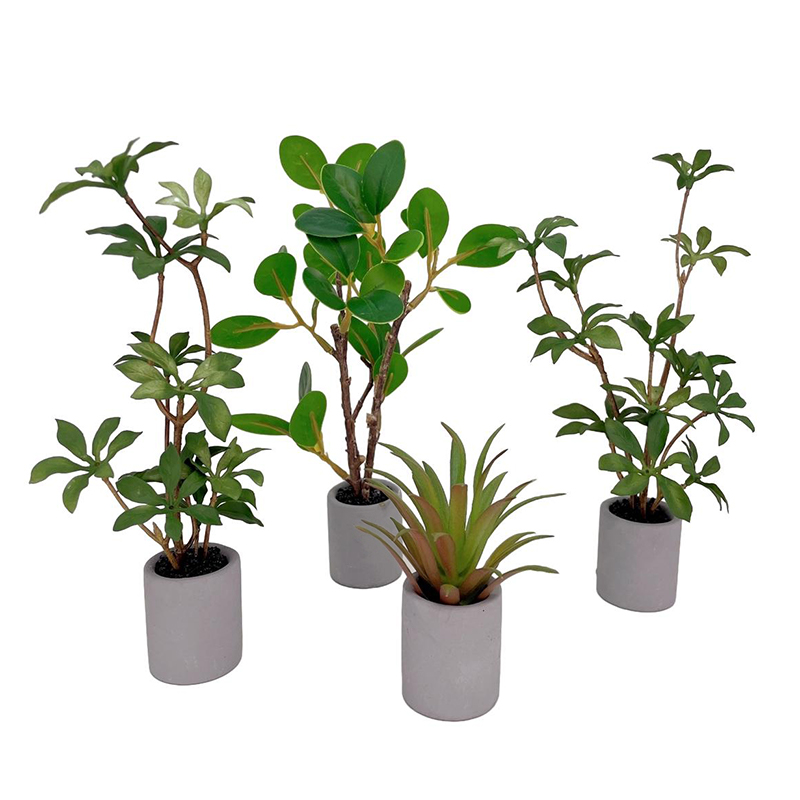 1:6 Dollhouse Miniature Potted - Bonsai Garden Europe 评论和价格