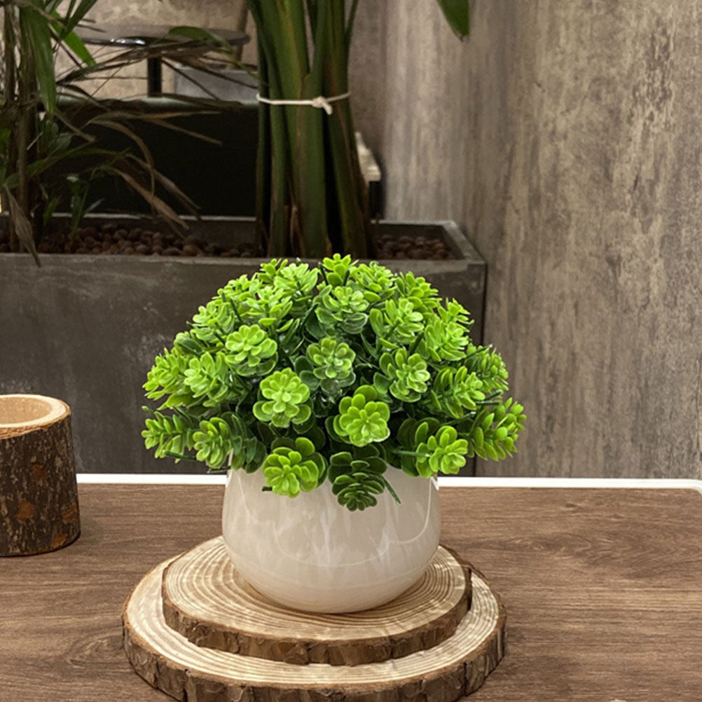 Realistic Fake Bonsai Artifici - Bonsai Garden And Cafe 评论和价格