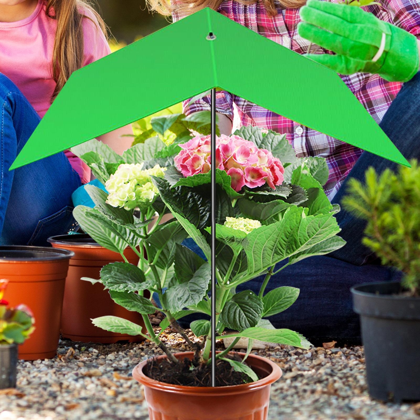 Plant Umbrella Anti-UV Heat Re - Bonsai Garden And Cafe 评论和价格