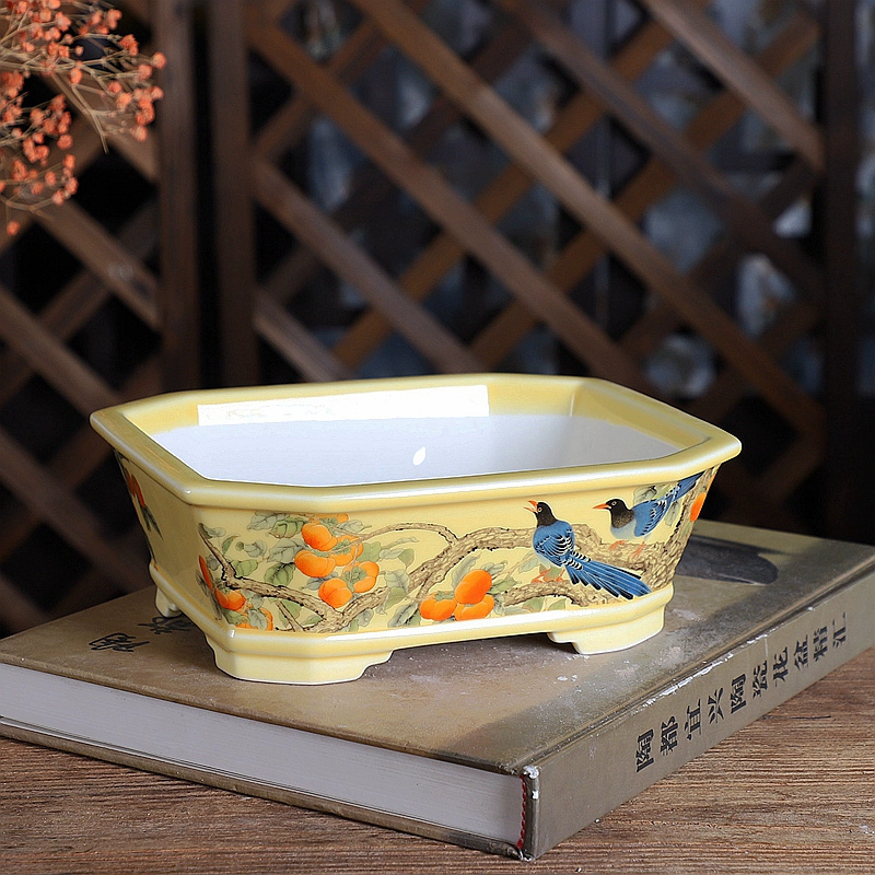 Porcelain Rectangle Bonsai Pot - Bonsai Garden Desk 评论和价格