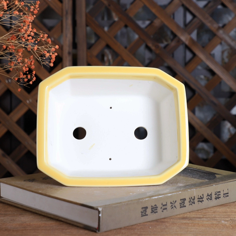 Porcelain Rectangle Bonsai Pot - Bonsai Garden Desk 评论和价格