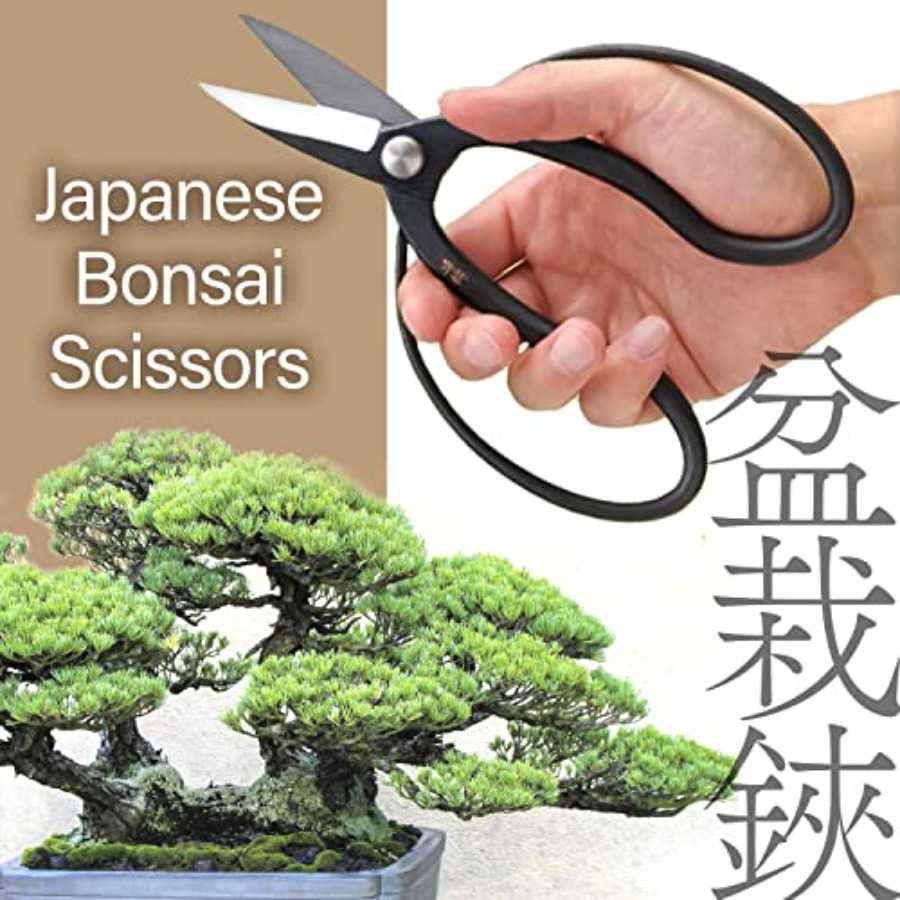 Japanese Suiryu Bonsai Scissor - Japan Bonsai Garden 评论和价格