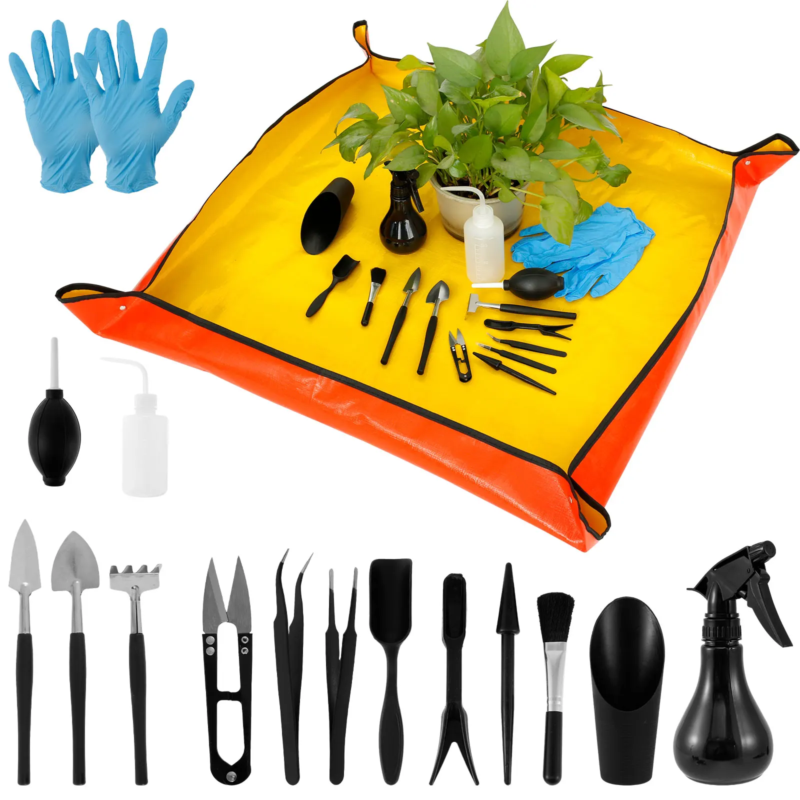 13/16Pcs Garden Succulent Plan - Bonsai Garden Plants 评论和价格