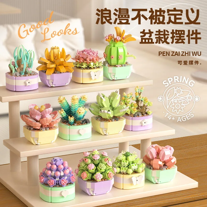 Flower Succulents Building Blo - Bonsai Garden Pot 评论和价格