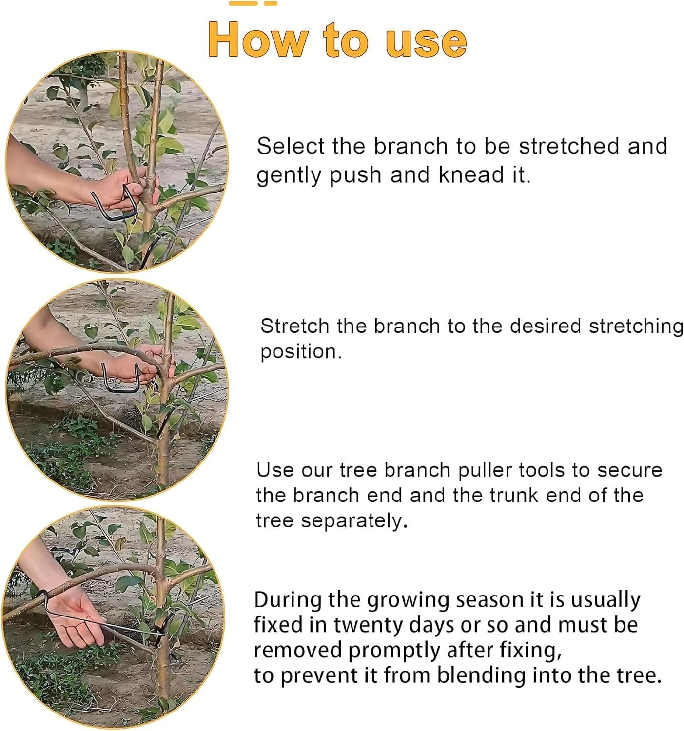 Adjustable Fruit Tree Branch S - Bonsai Garden Plants 评论和价格