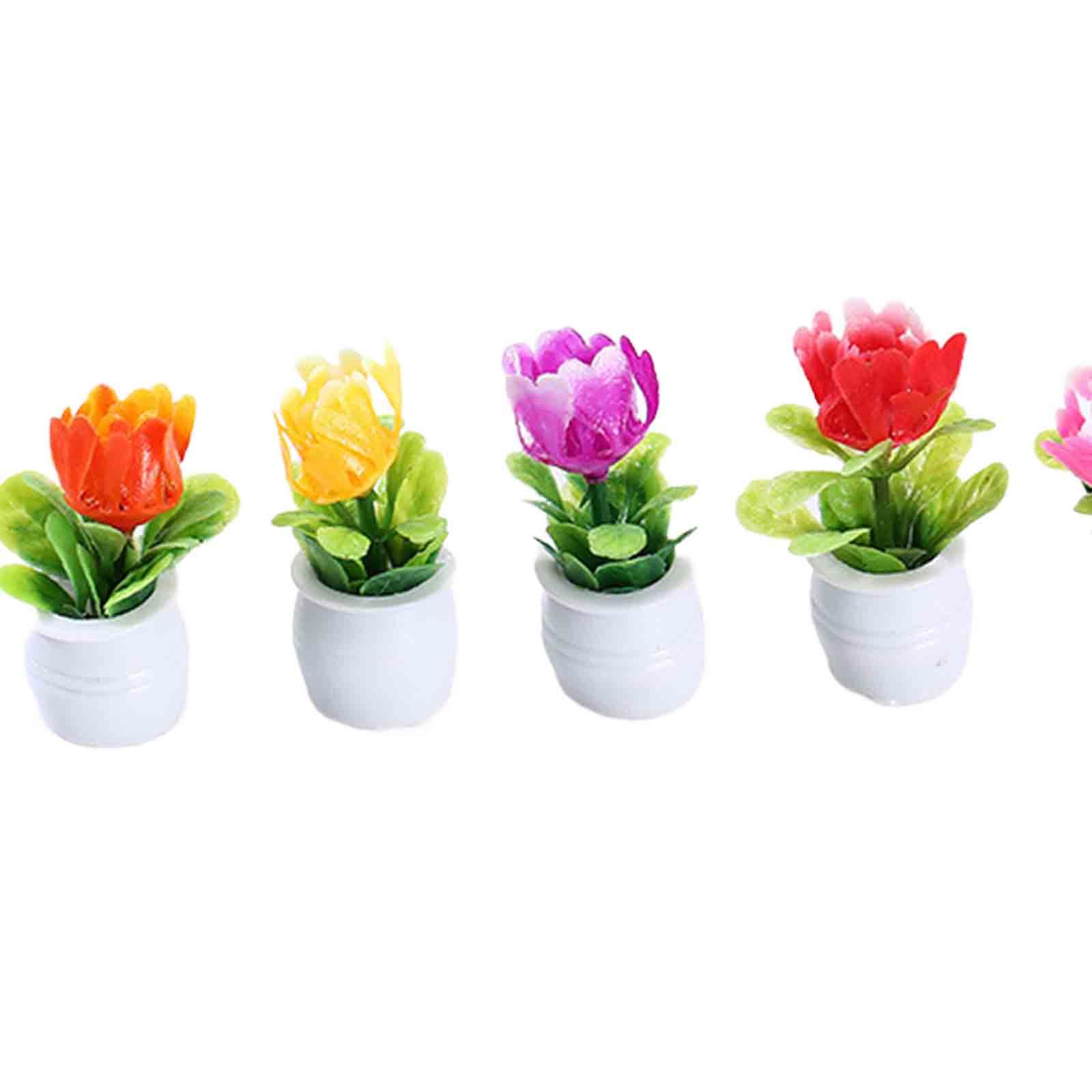 5Pcs 1:12 Dollhouse Miniature  - Bonsai Garden Europe 评论和价格
