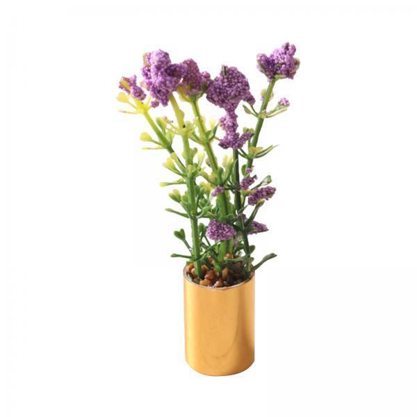 Miniature Potted Plant Ornamen - Bonsai Garden Europe 评论和价格
