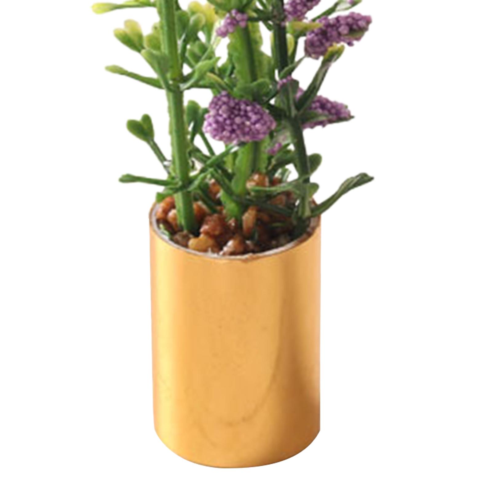 Miniature Potted Plant Ornamen - Bonsai Garden Europe 评论和价格
