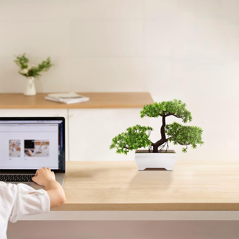 Artificial Bonsai Plastic Bion - Bonsai Garden Desk 评论和价格
