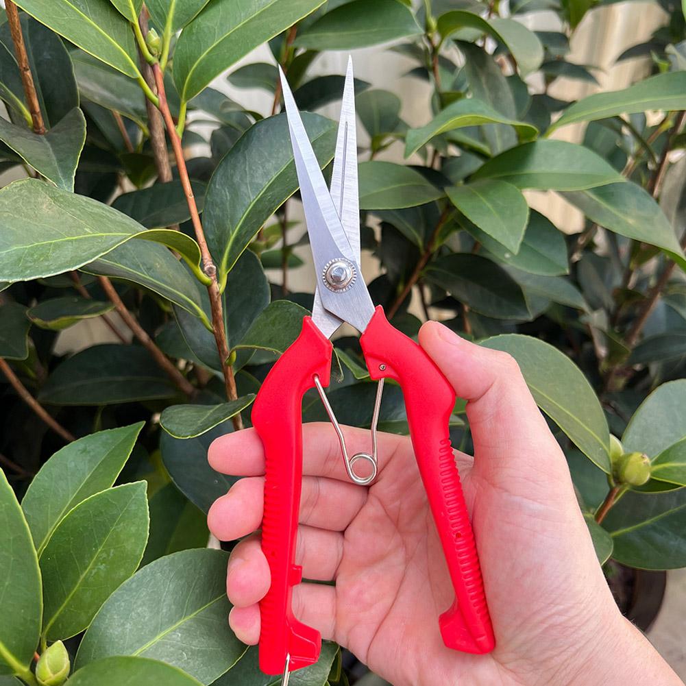Pro Garden Pruning Shears Leng - Bonsai Garden Plants 评论和价格