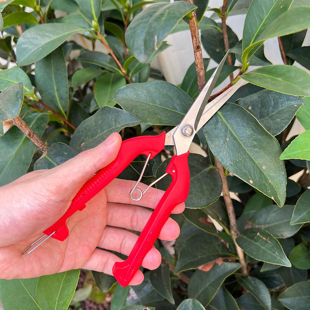 Pro Garden Pruning Shears Leng - Bonsai Garden Plants 评论和价格