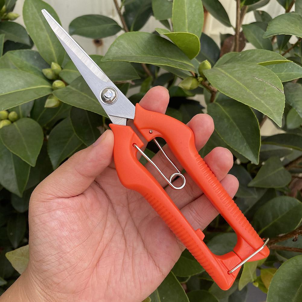 Pro Garden Pruning Shears Leng - Bonsai Garden Plants 评论和价格