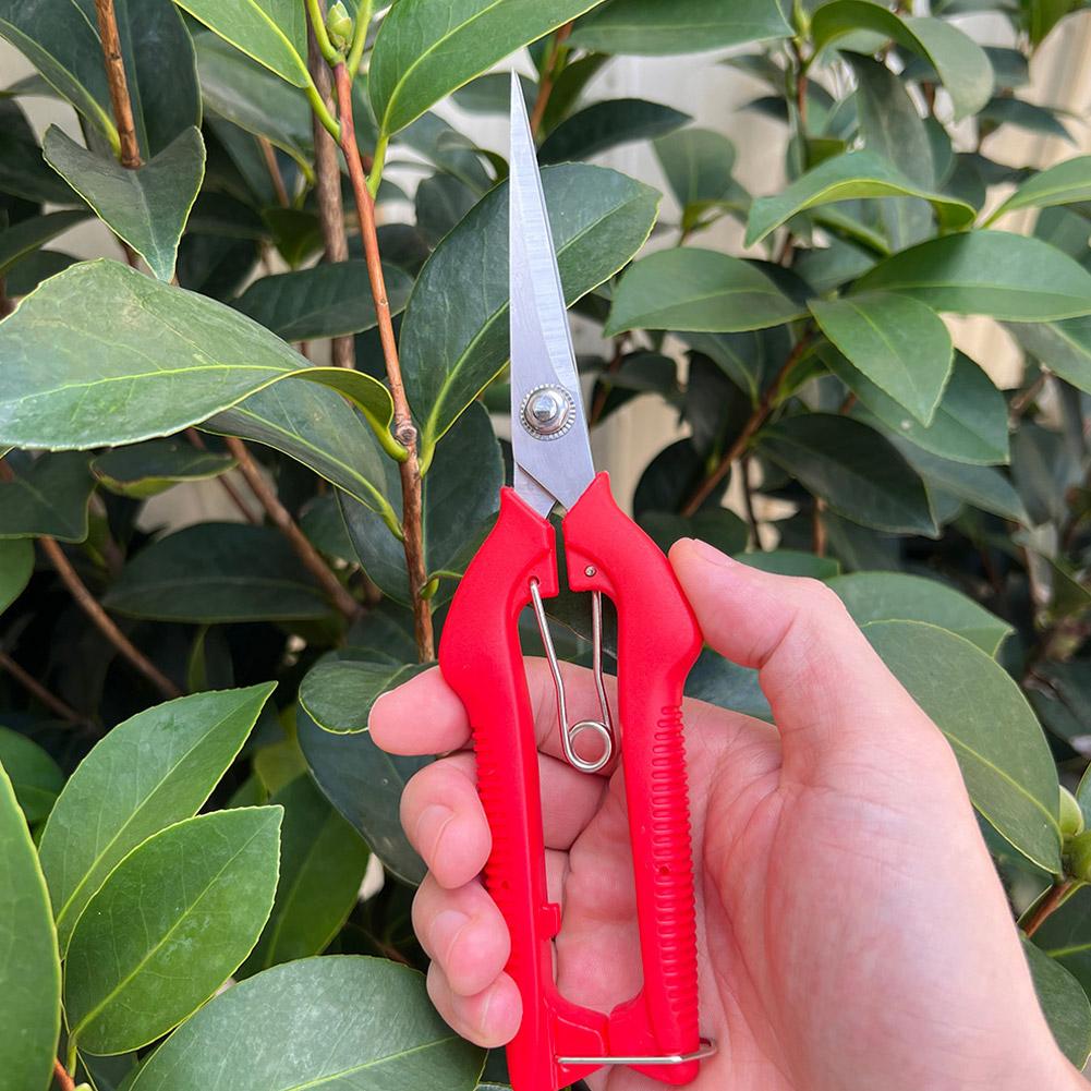 Pro Garden Pruning Shears Leng - Bonsai Garden Plants 评论和价格