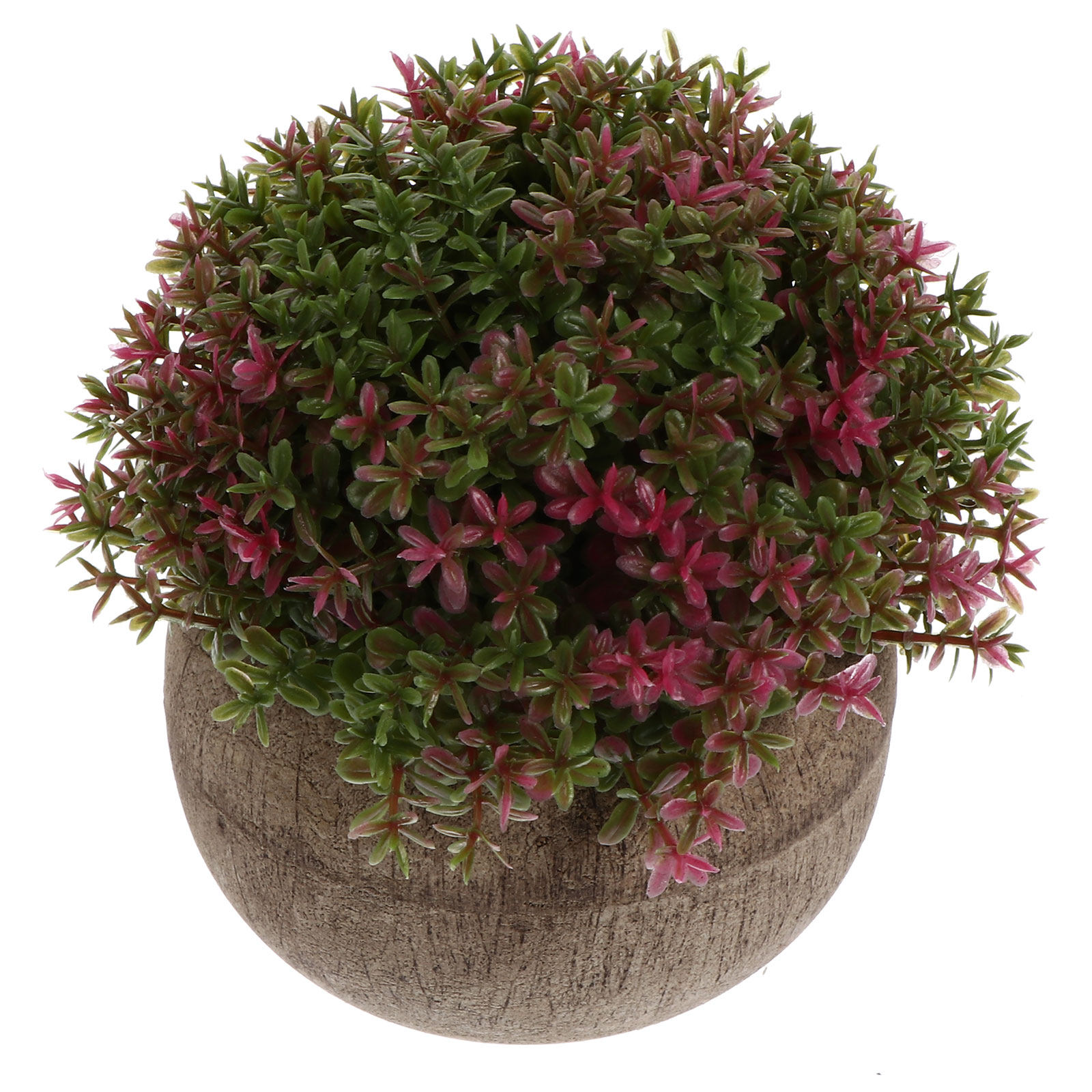 Mini Plastic Bonsai Realistic  - Bonsai Garden And Cafe 评论和价格