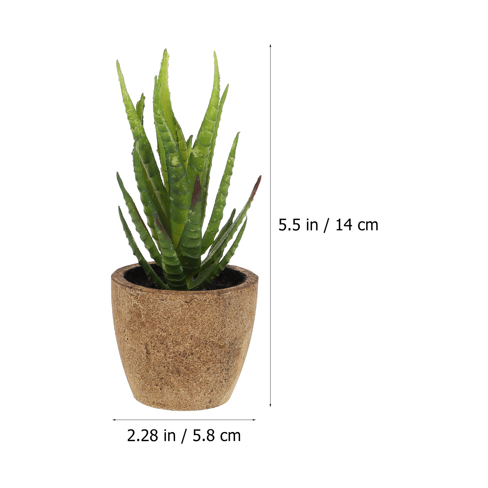 4Pcs Simulation Succulent Bons - Bonsai Garden And Cafe 评论和价格