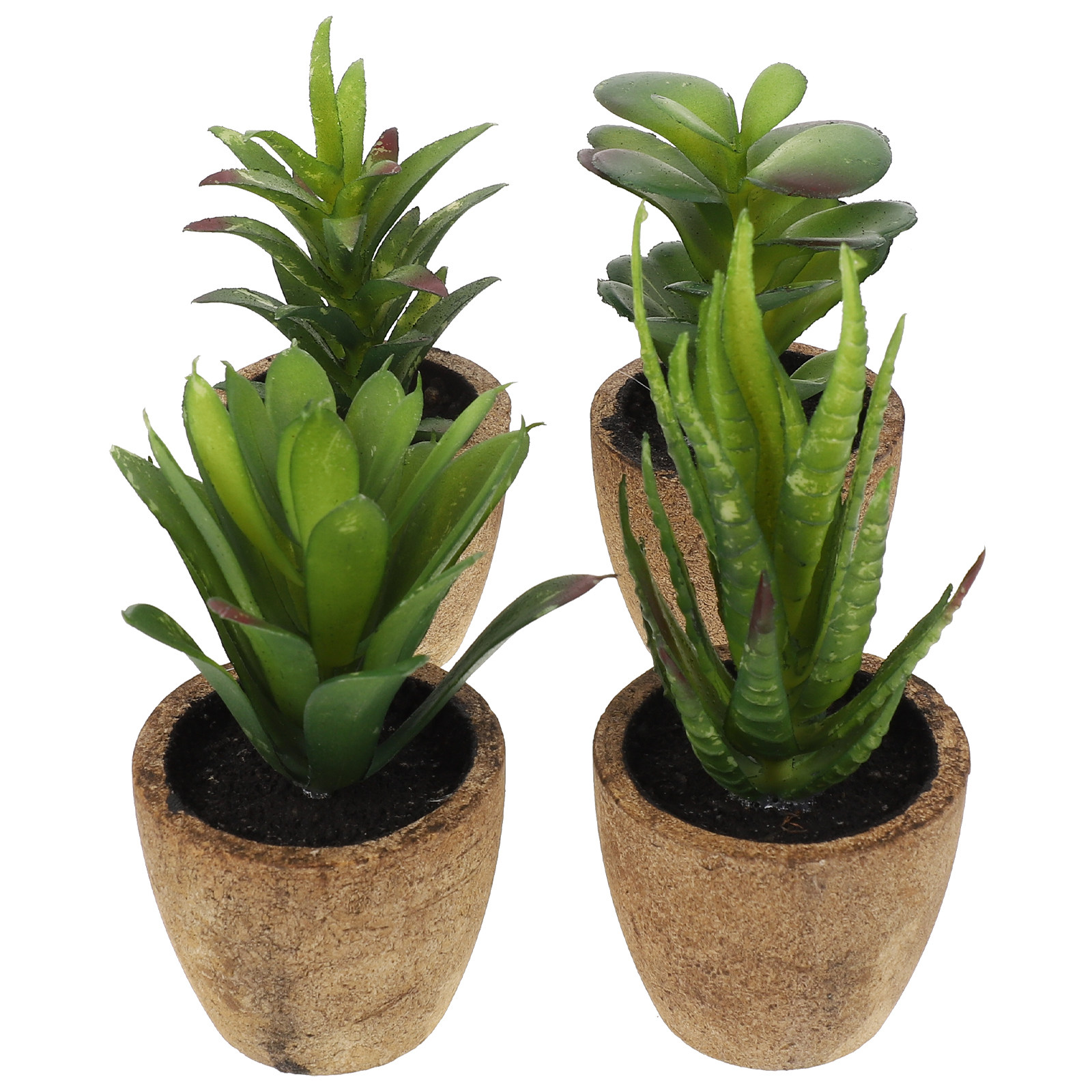 4Pcs Simulation Succulent Bons - Bonsai Garden And Cafe 评论和价格