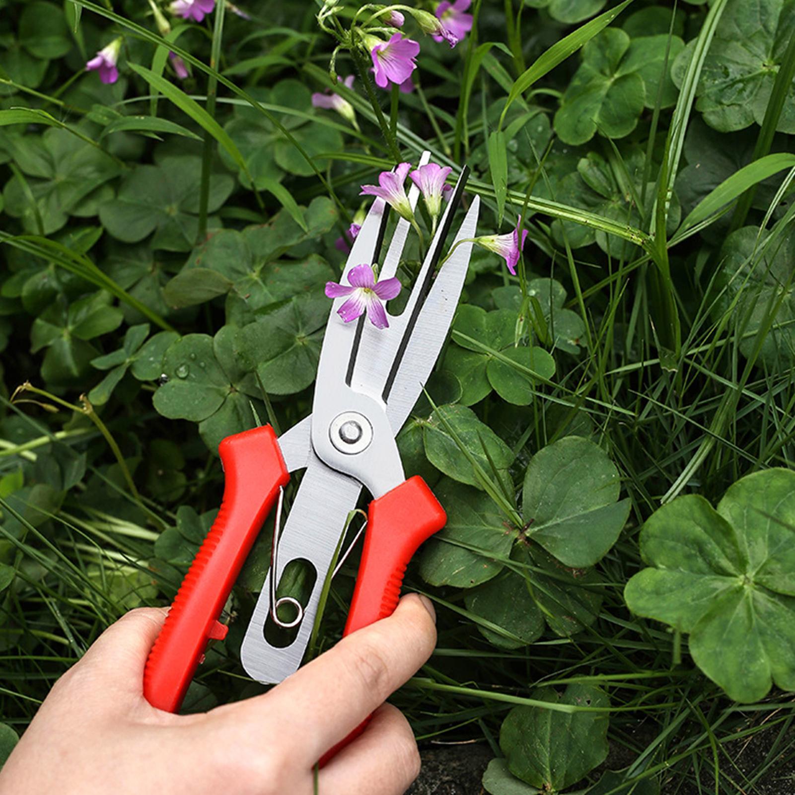 Garden Shears Stainless Steel  - Bonsai Garden Plants 评论和价格