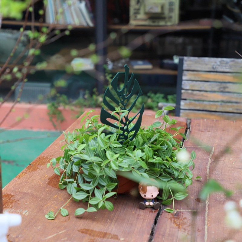 Plant Climbing Support Stand F - Bonsai Garden Pot 评论和价格
