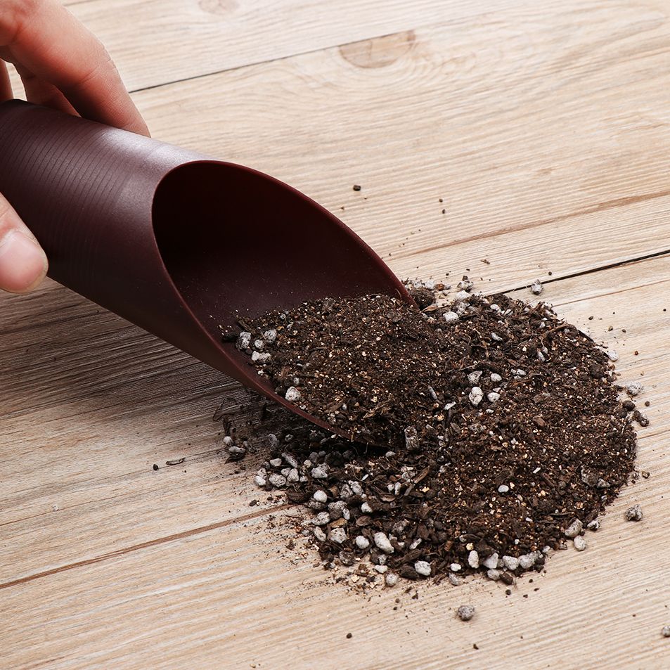1PC Plastic Soil Shovel Cup Fo - Bonsai Garden Pot 评论和价格